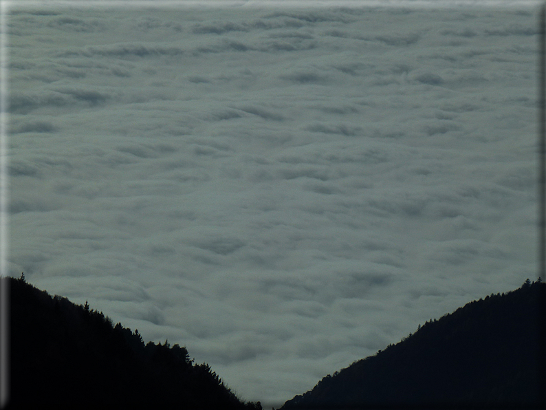 foto Pedemontana Veneta nella nebbia